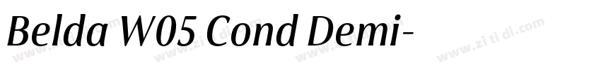 Belda W05 Cond Demi字体转换